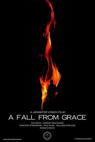 A Fall from Grace poster