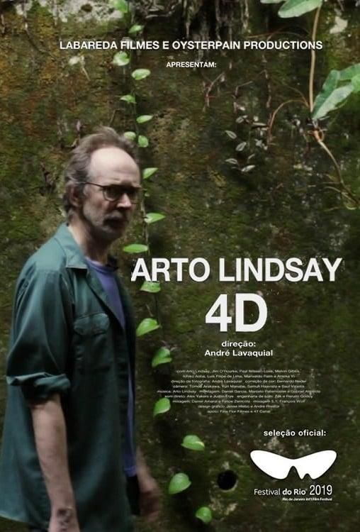 Arto Lindsay 4D poster