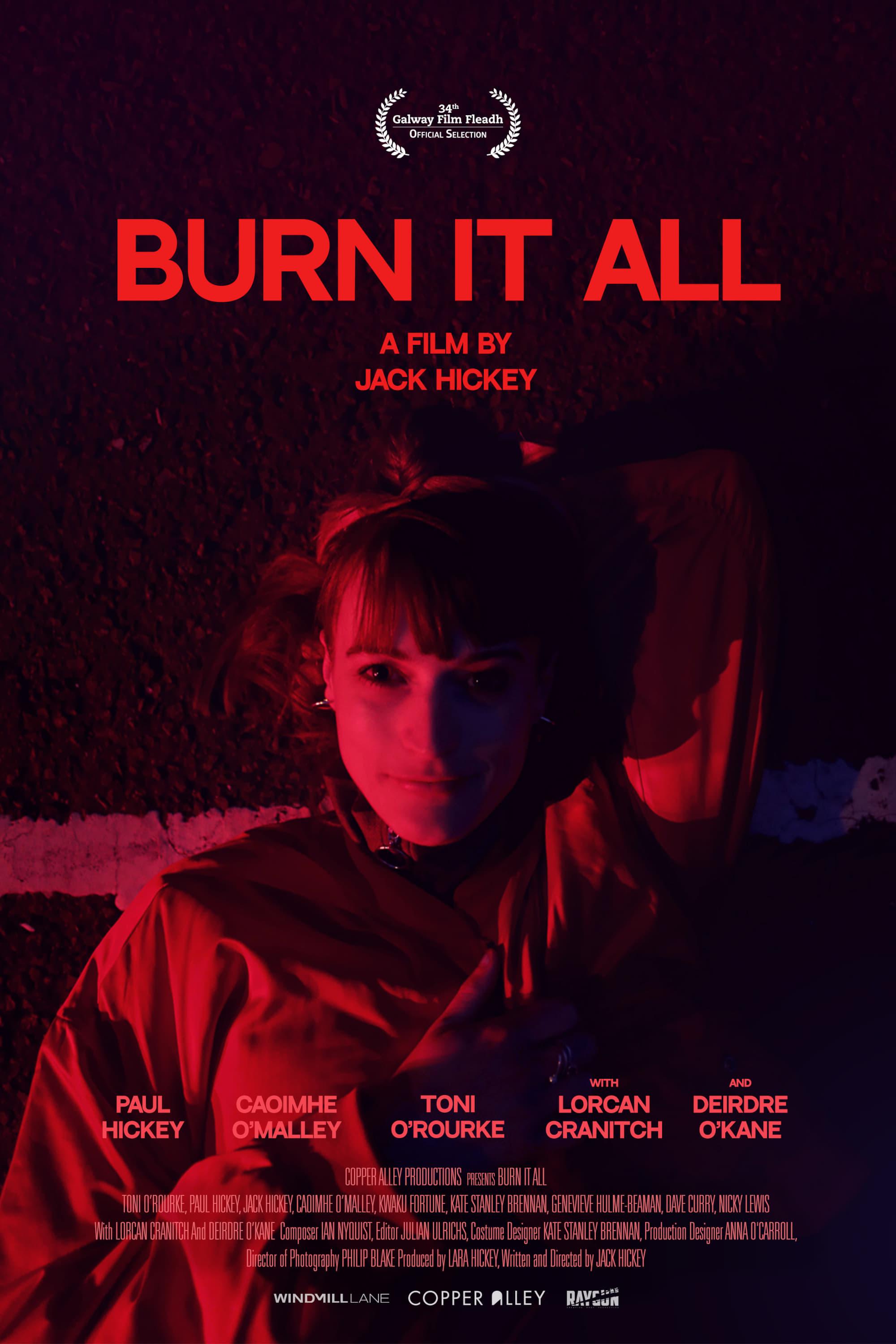 Burn It All poster