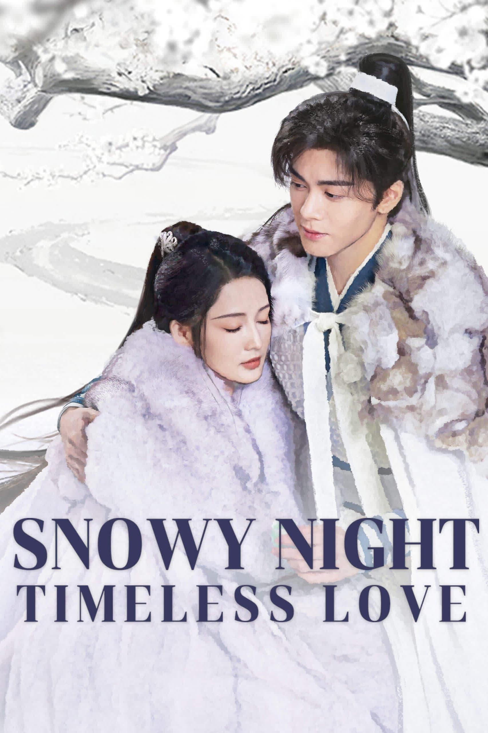 Snowy Night Timeless Love poster