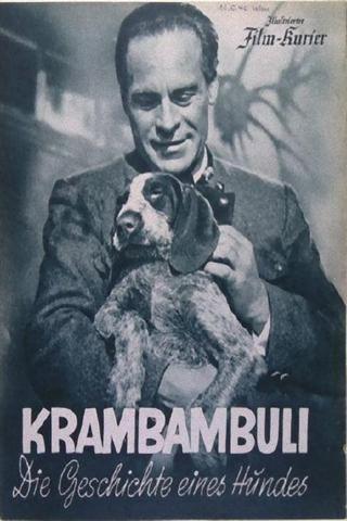 Krambambuli poster