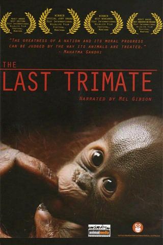 The Last Trimate poster