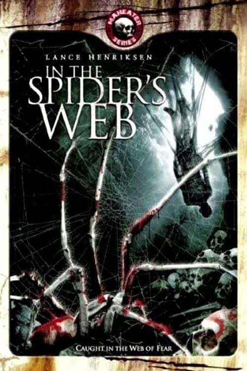 In the Spider's Web poster