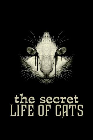 The Secret Life of Cats poster