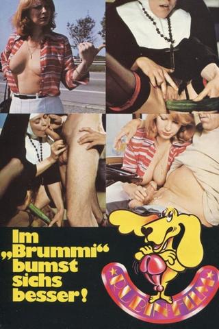 Im "Brummi" bumst sichs besser! poster