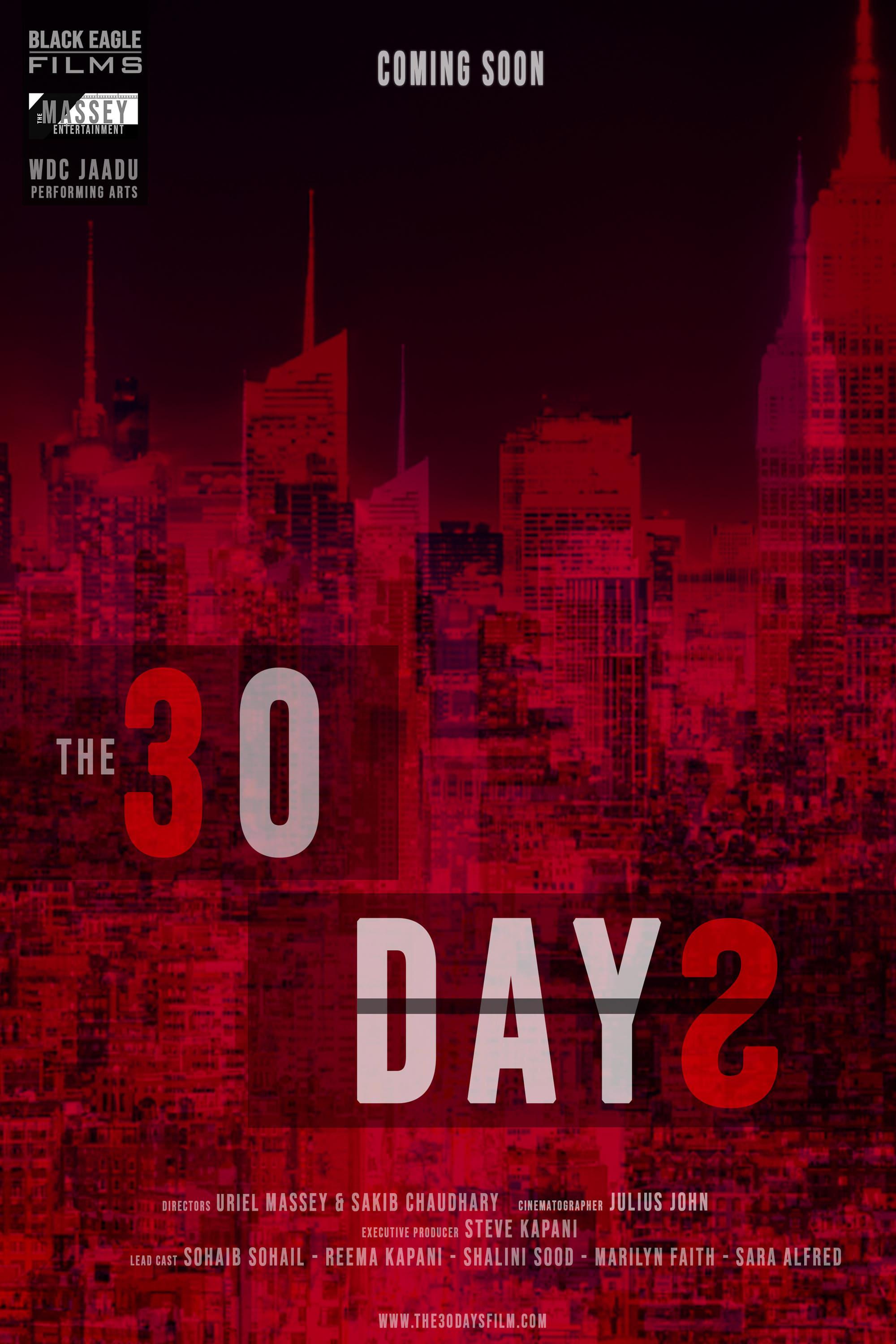 The 30 Days poster