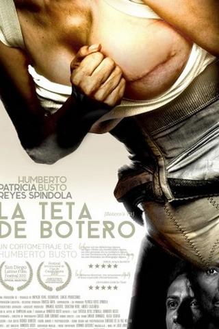 La teta de Botero poster