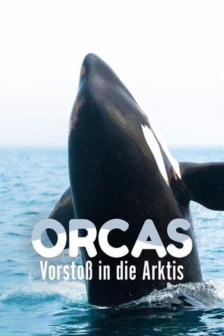 Orcas - Vorstoss in die Arktis poster