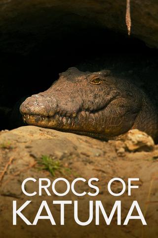 Crocs of Katuma poster