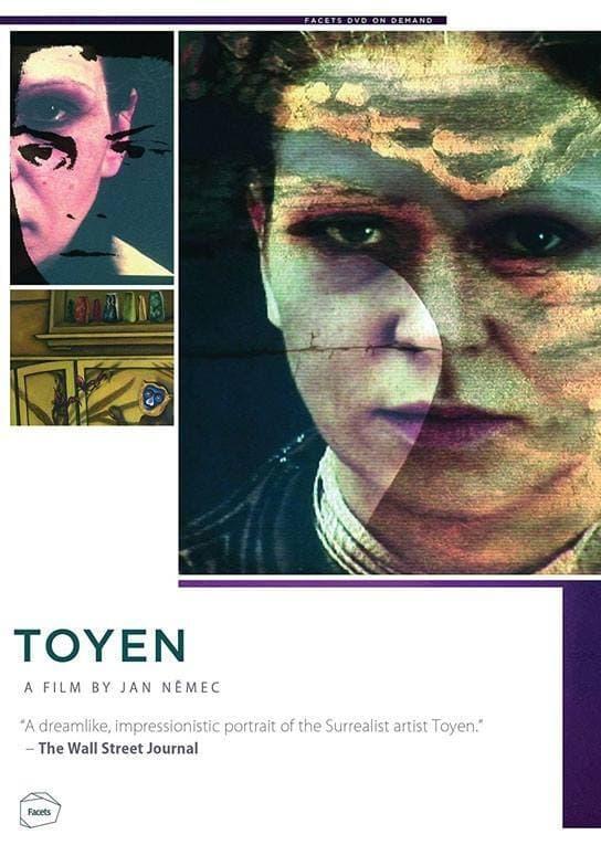 Toyen poster