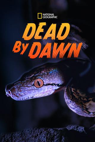 Dead By Dawn poster