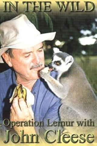 In The Wild: Operation Lemur With John Cleese poster