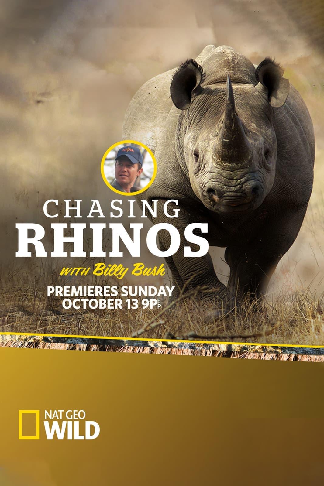 Chasing Rhinos with Billy Bush poster