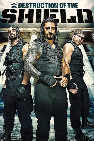 The Destruction of The Shield poster