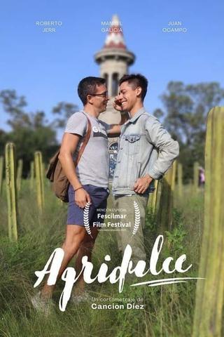 Agridulce poster