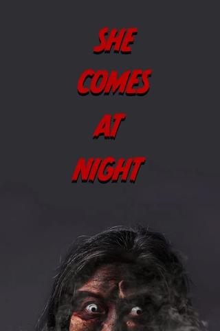 She Comes at Night poster