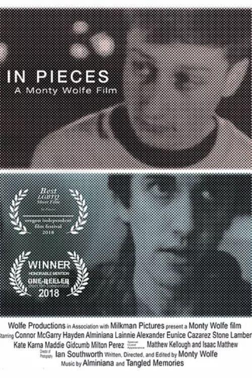 In Pieces poster