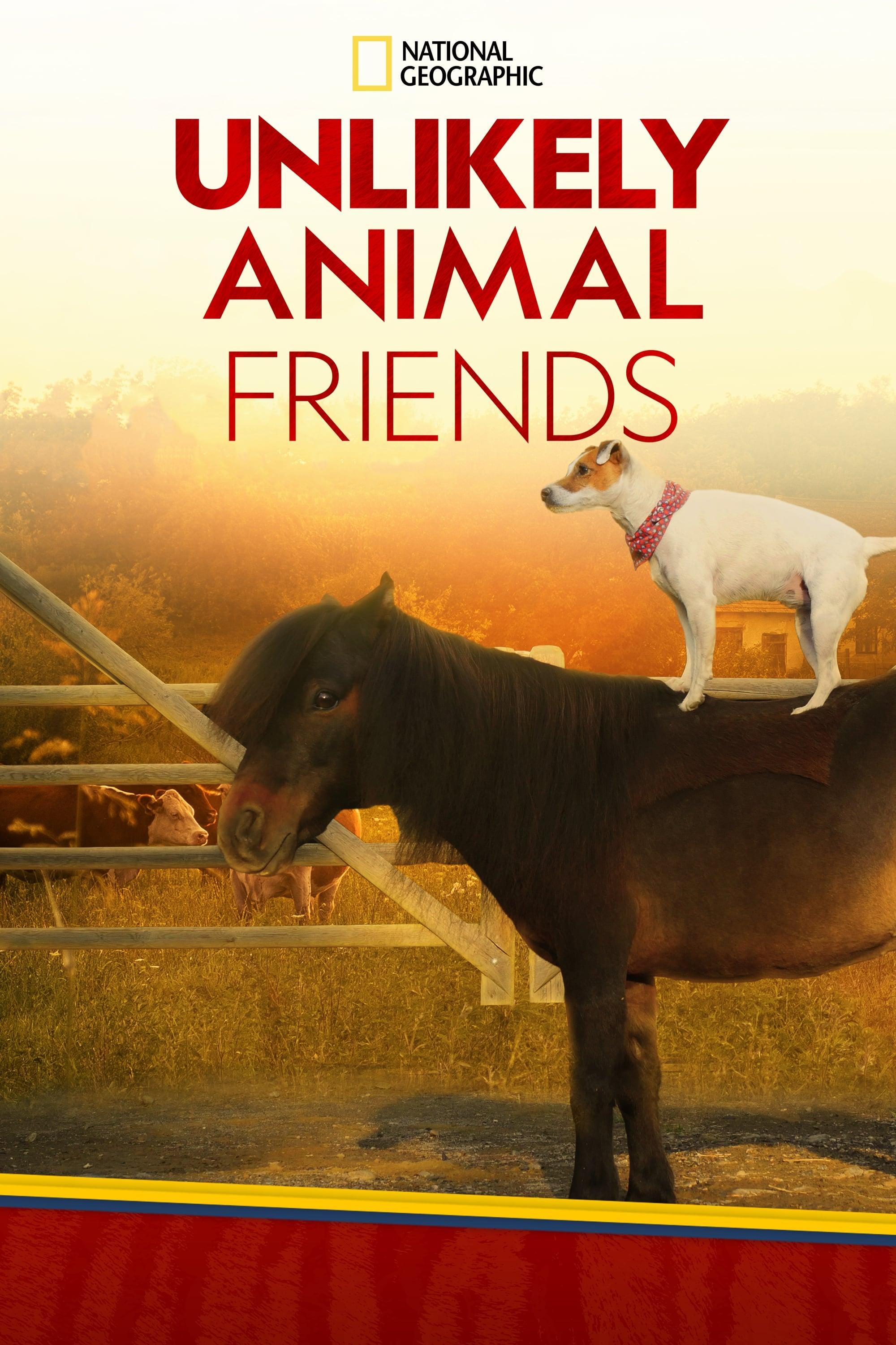 Unlikely Animal Friends poster