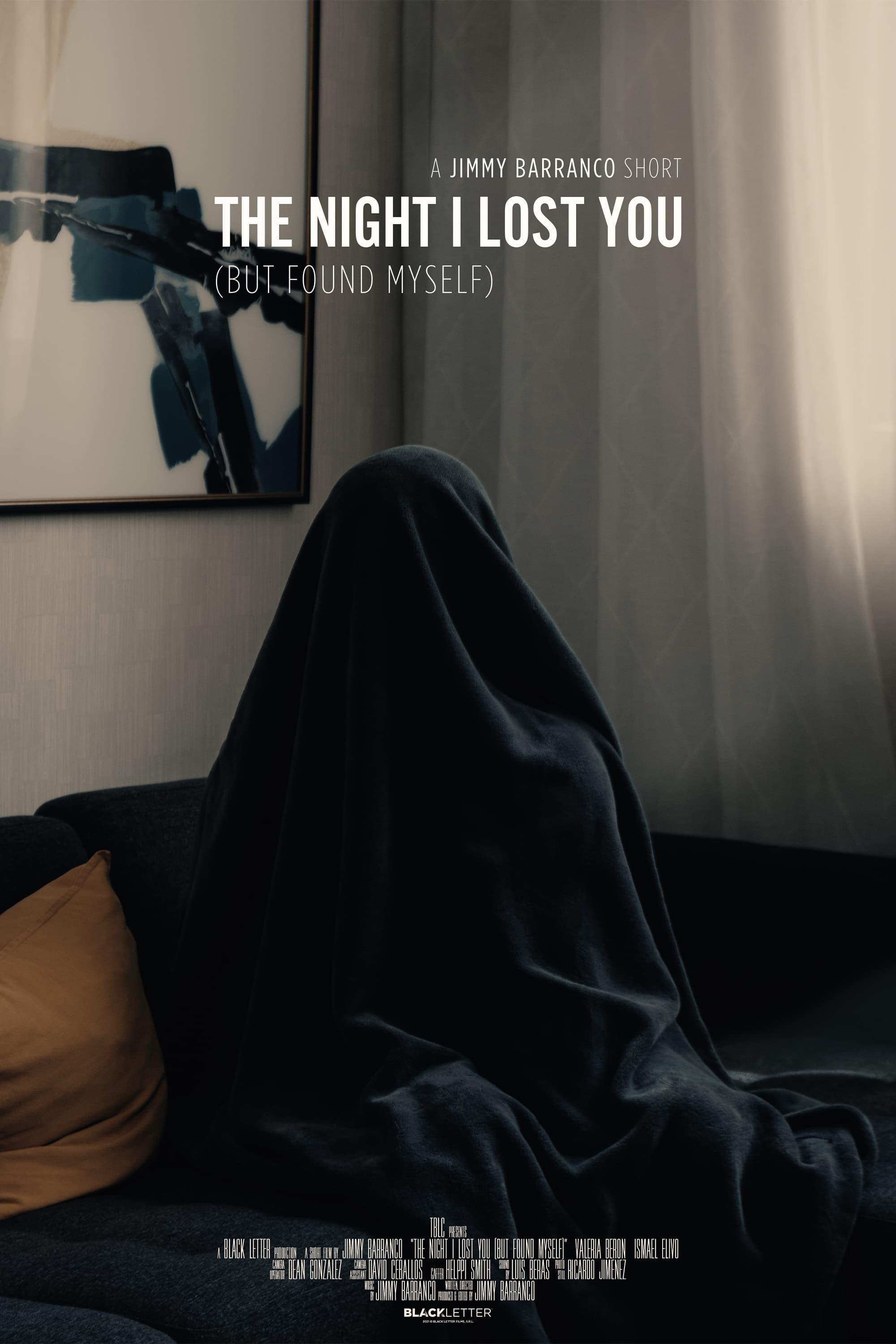 The Night I Lost You (But Found Myself) poster