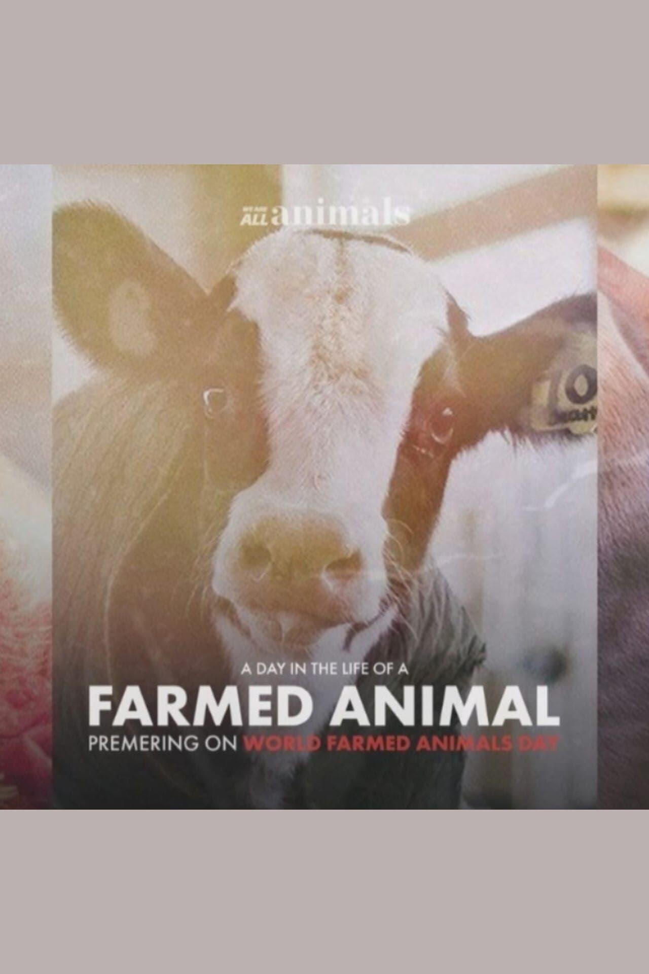 A Day in the Life of a Farmed Animal poster