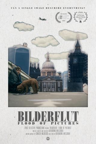 Bilderflut: Flood of Pictures poster