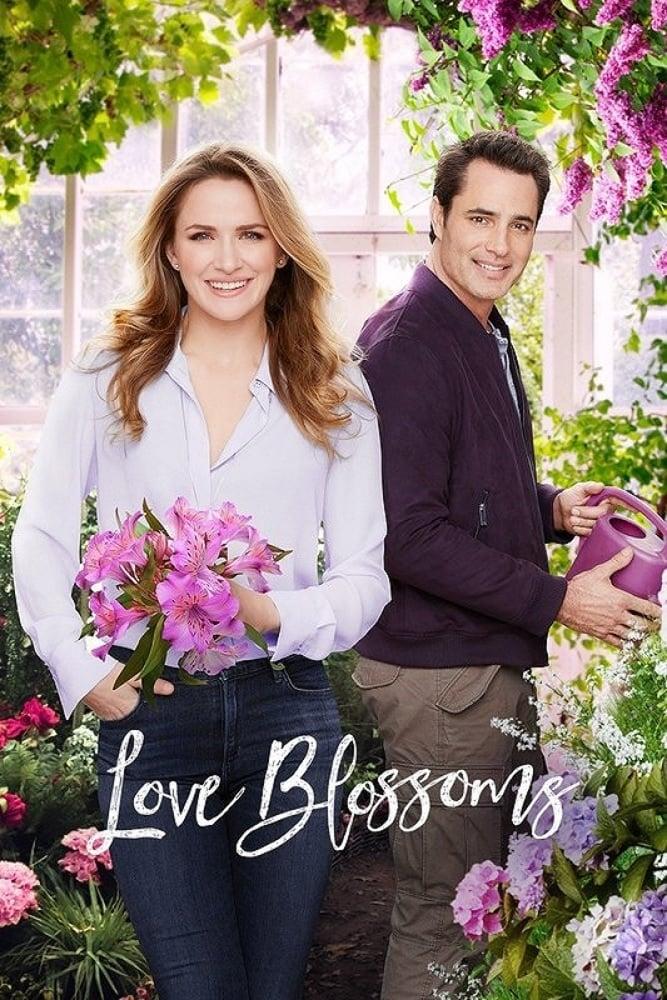 Love Blossoms poster