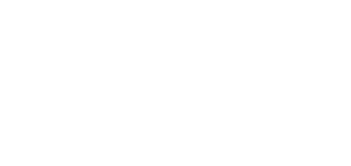 Tel Aviv on Fire logo