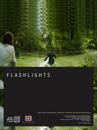 Flashlights poster