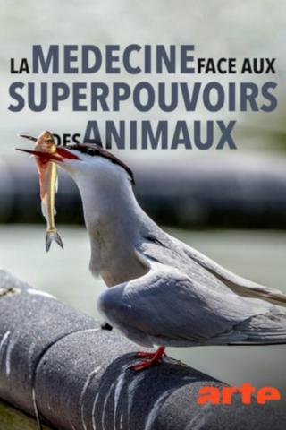 Wild Medicine: Animals' Superpowers poster