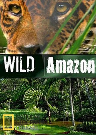 Wild Amazon poster