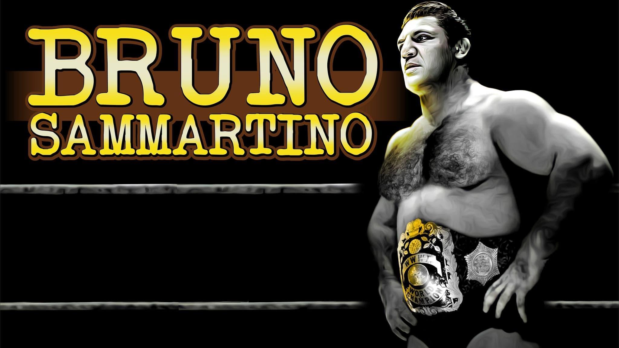 Bruno Sammartino backdrop
