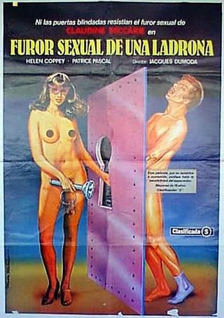 Sexual Fury poster