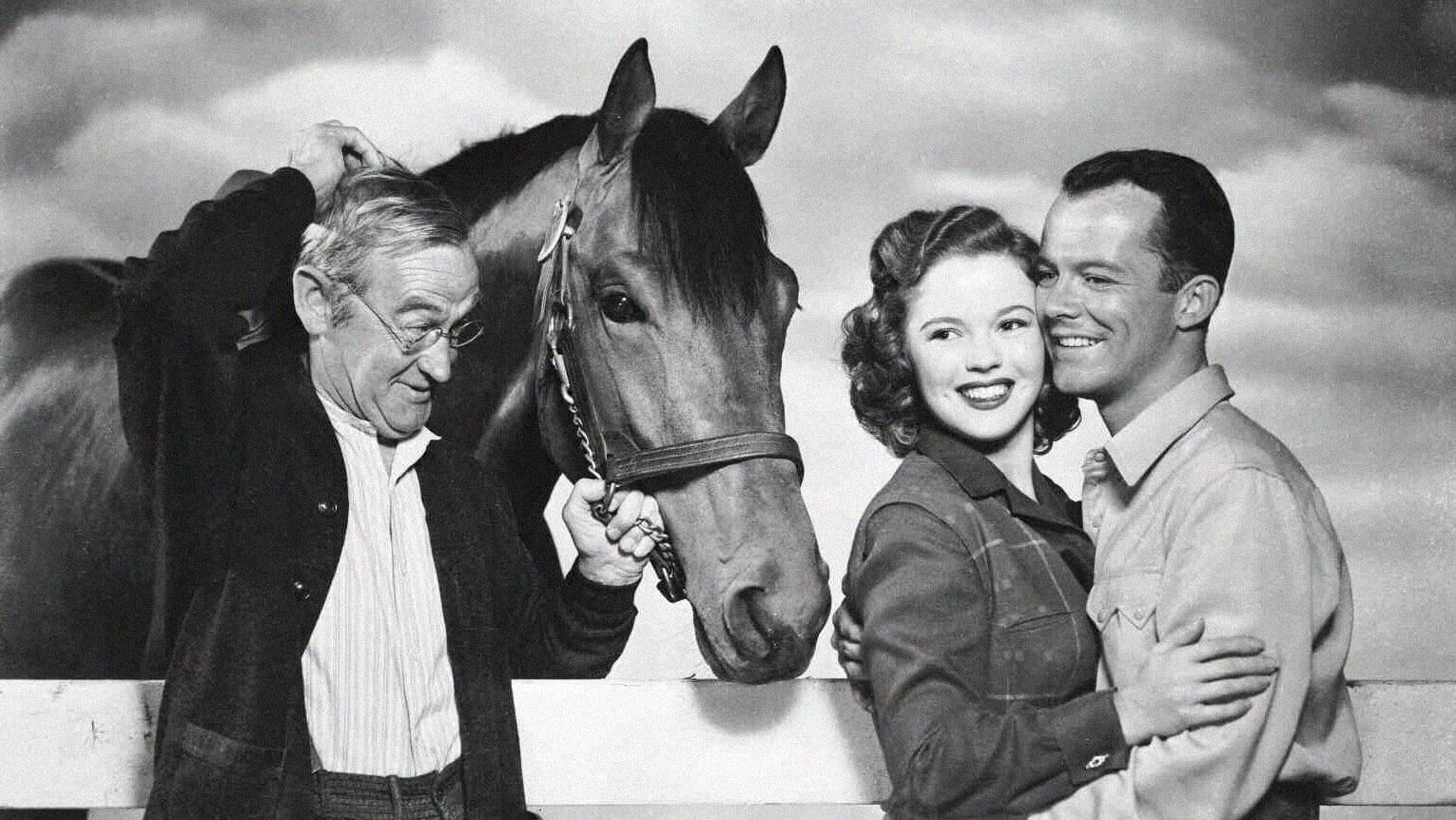 The Story of Seabiscuit backdrop
