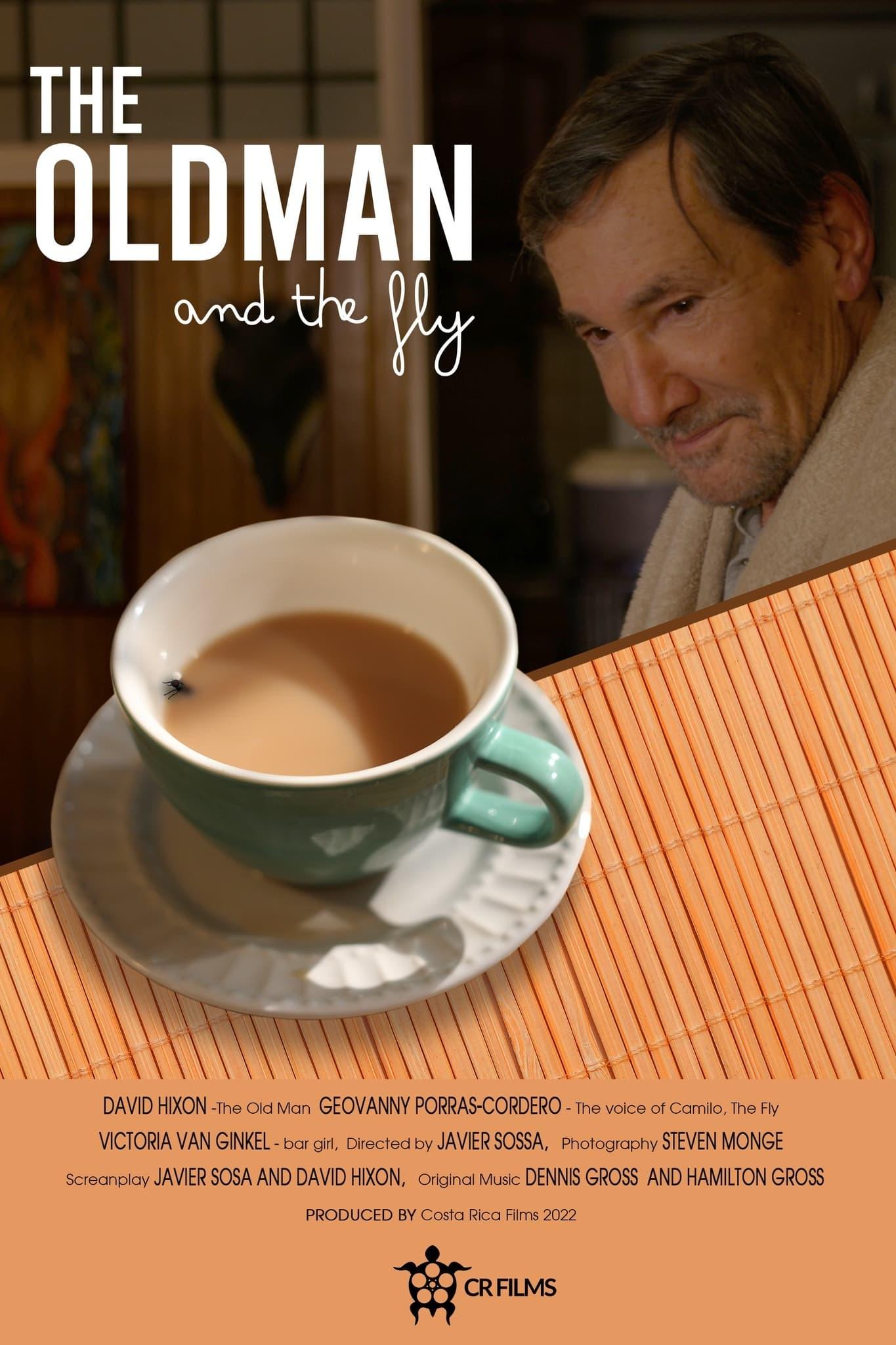 The Old Man and the Fly poster