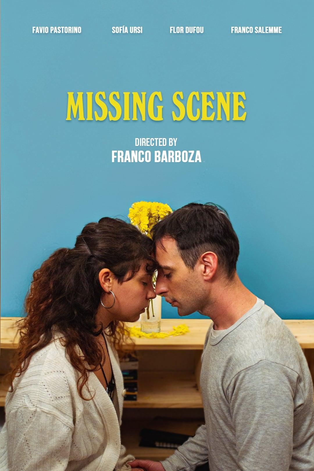 Missing Scene poster