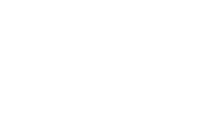 Bonnie Prince Charlie logo