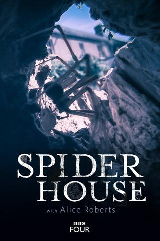 Spider House poster