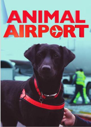 Animal Airport poster