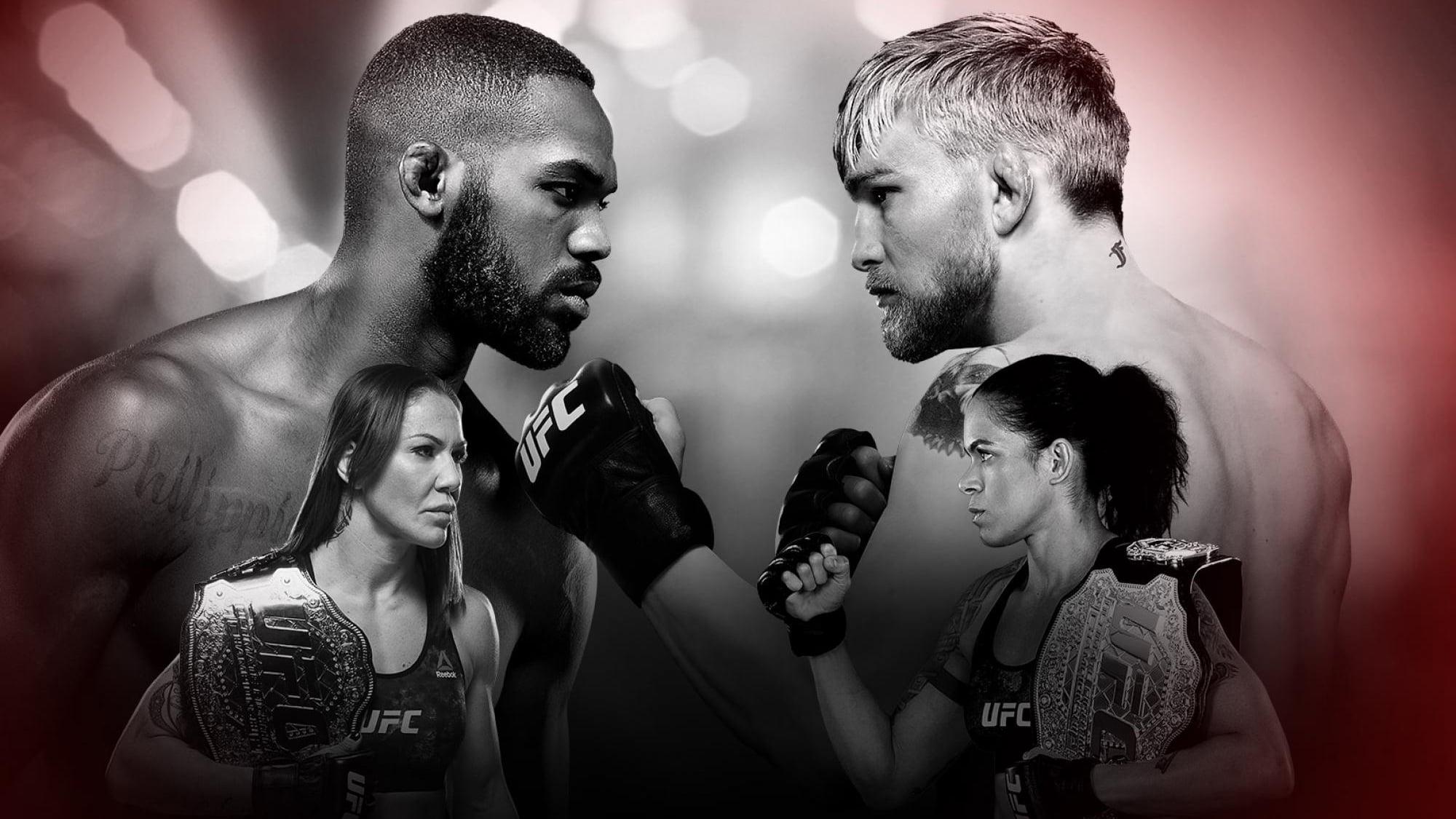 UFC 232: Jones vs. Gustafsson 2 backdrop