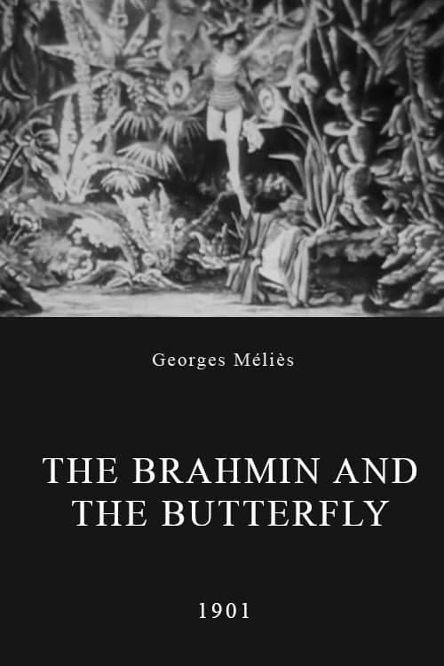 The Brahmin and the Butterfly poster