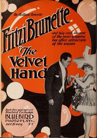 The Velvet Hand poster