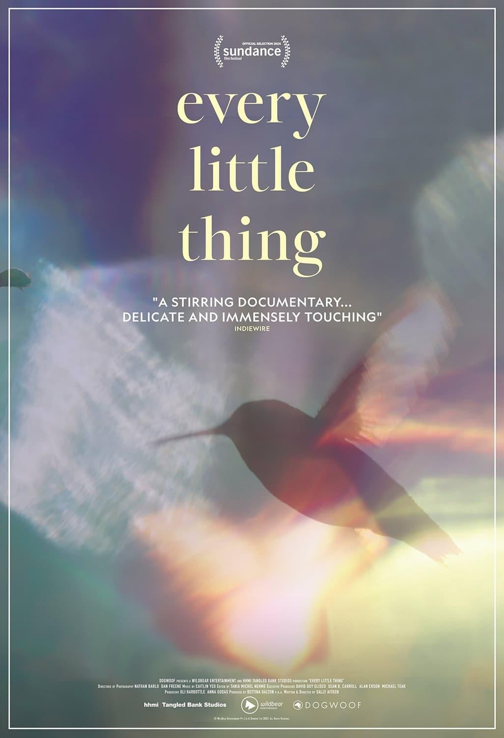 Every Little Thing poster