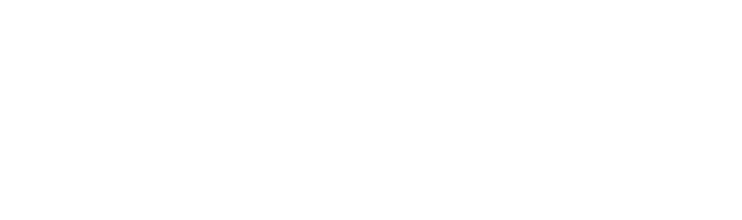 The Ashley Madison Affair logo