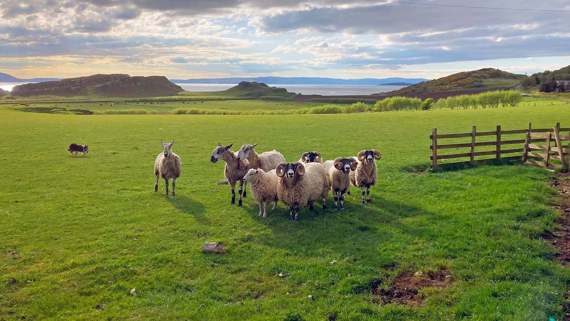 Unterwegs in Schottland backdrop