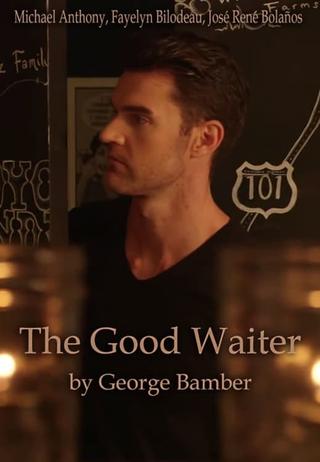 The Good Waiter poster