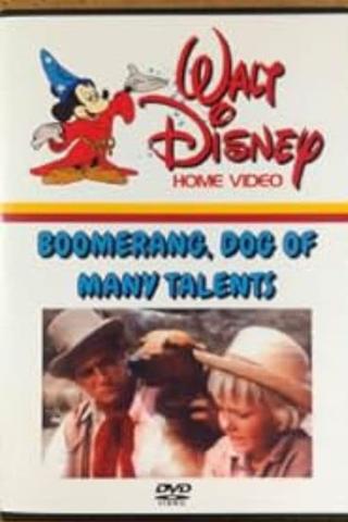 Boomerang, Dog of Many Talents poster