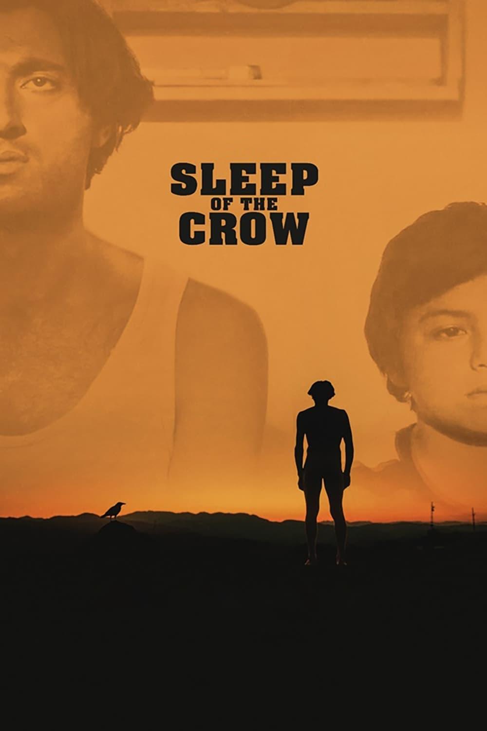 Sleep of the Crow poster