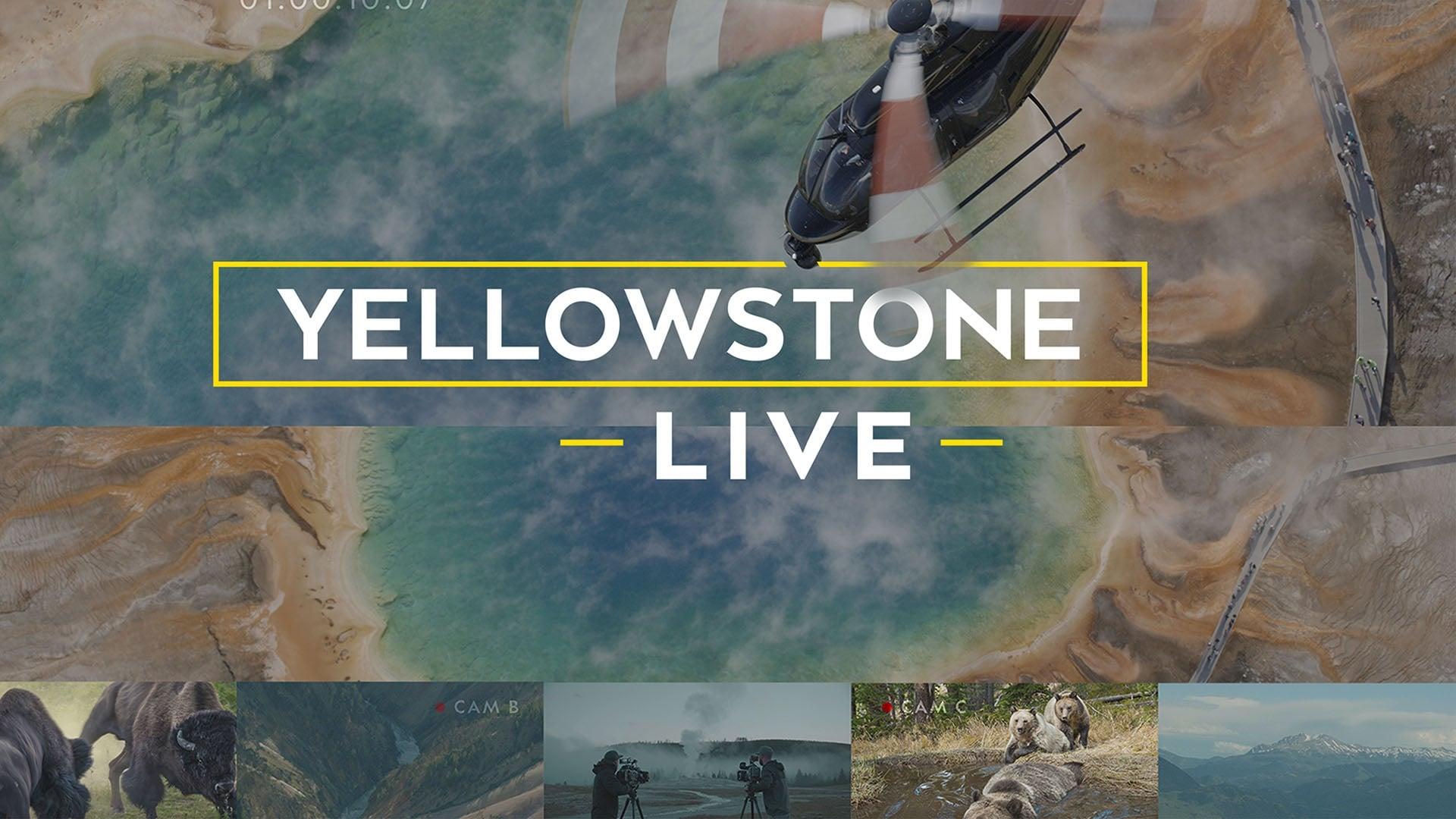 Yellowstone Live backdrop