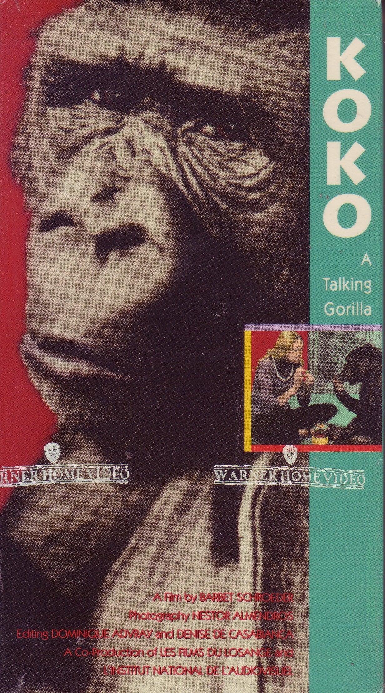 Koko: A Talking Gorilla poster