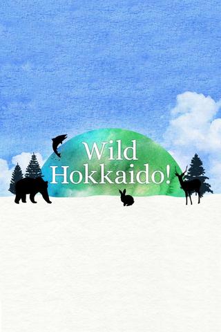 Wild Hokkaido! poster